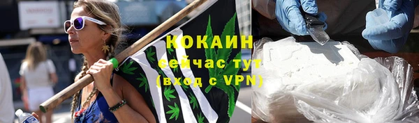 прущий лед Алзамай