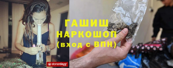 прущий лед Алзамай
