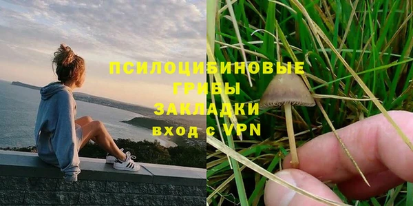 прущий лед Алзамай