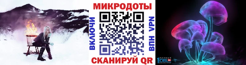Псилоцибиновые грибы Psilocybine cubensis  Липки 
